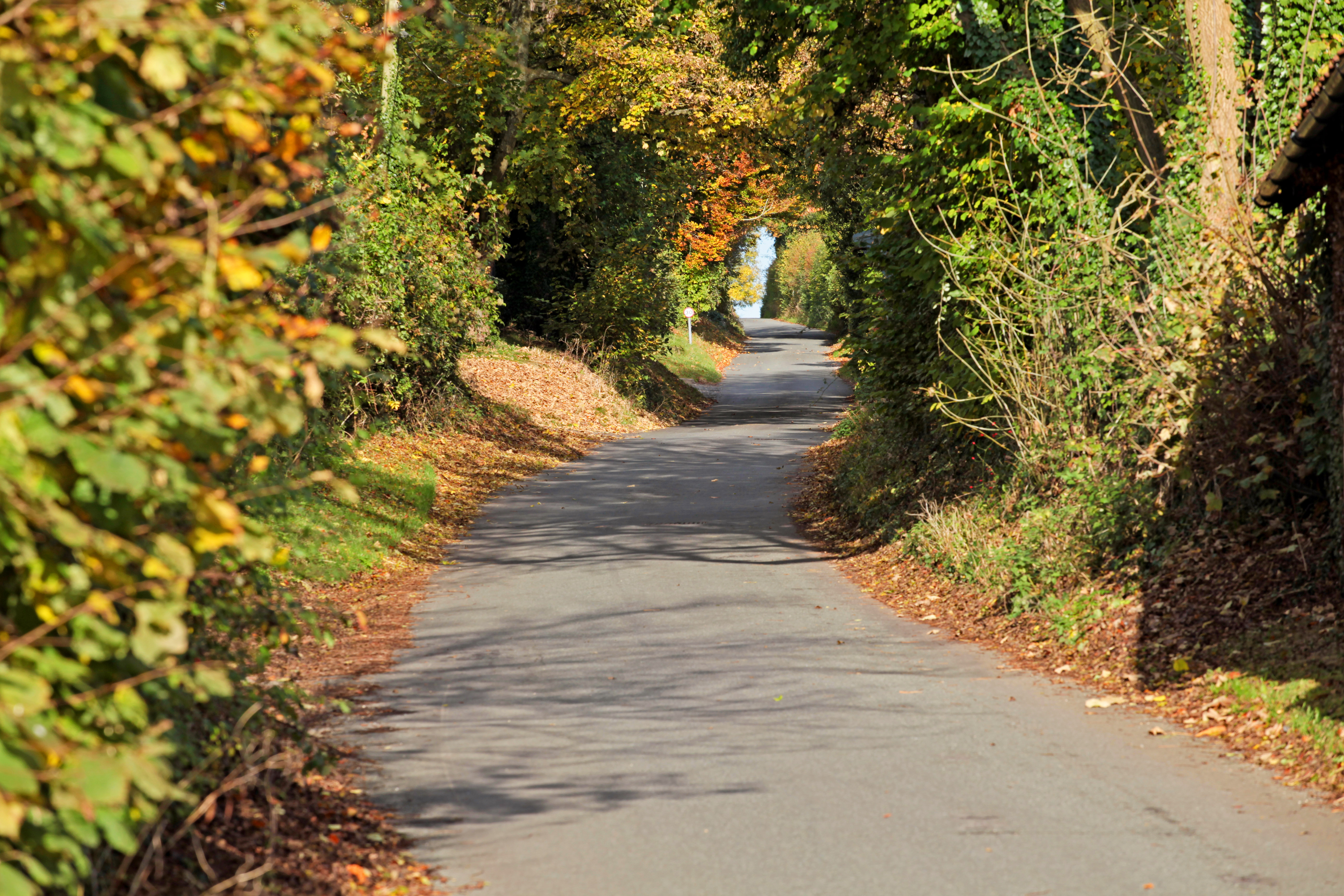 Dorset a rural and costal county Rural View Estate Agents Property
