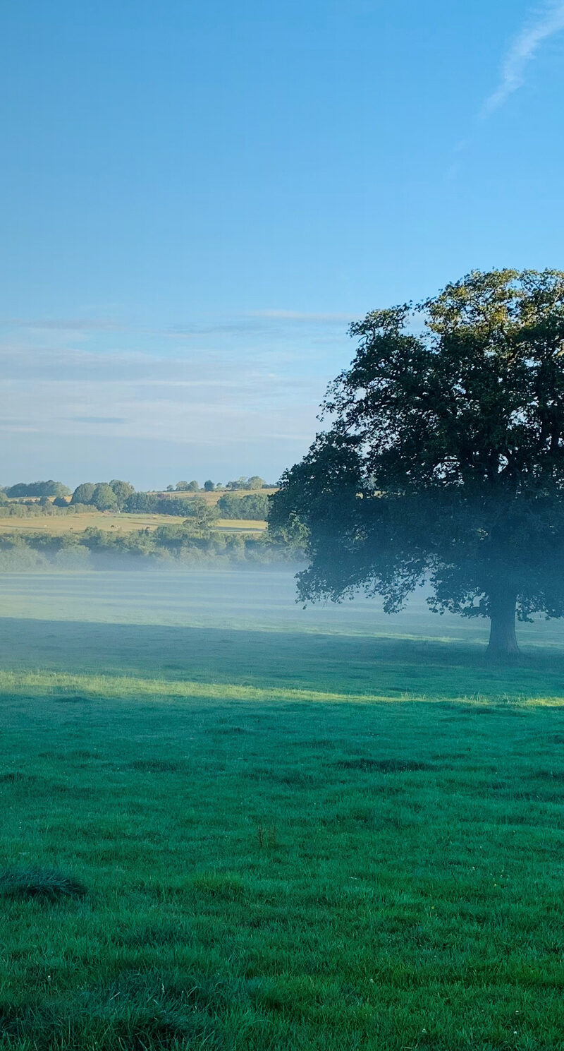 Rural Property For Sale Country Houses for Sale Rural View Estate