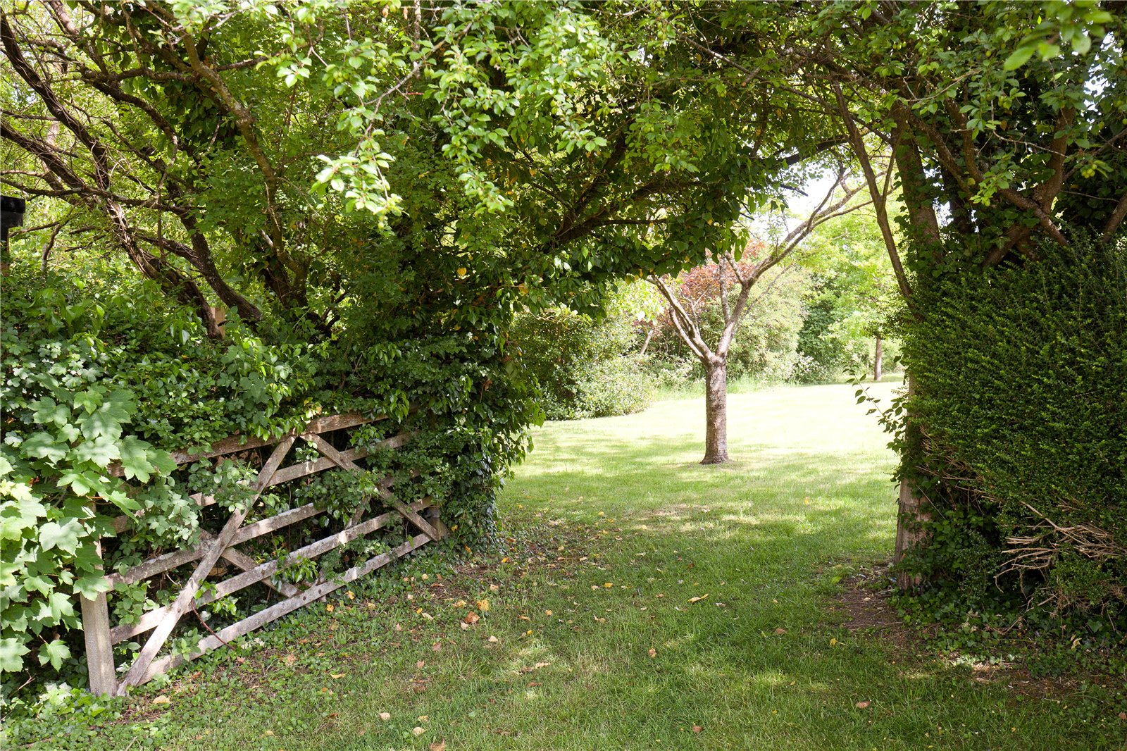 Salisbury Road, Chilmark