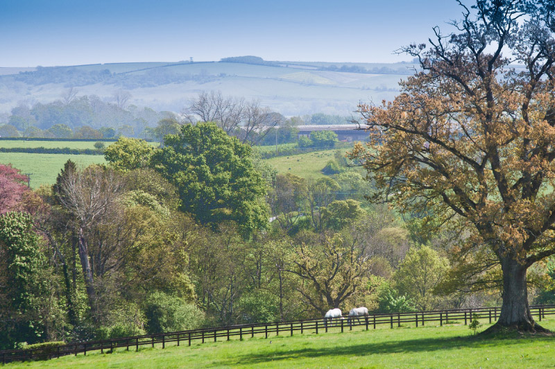 Estate Agents in the Cranborne Chase Rural View Estate Agents