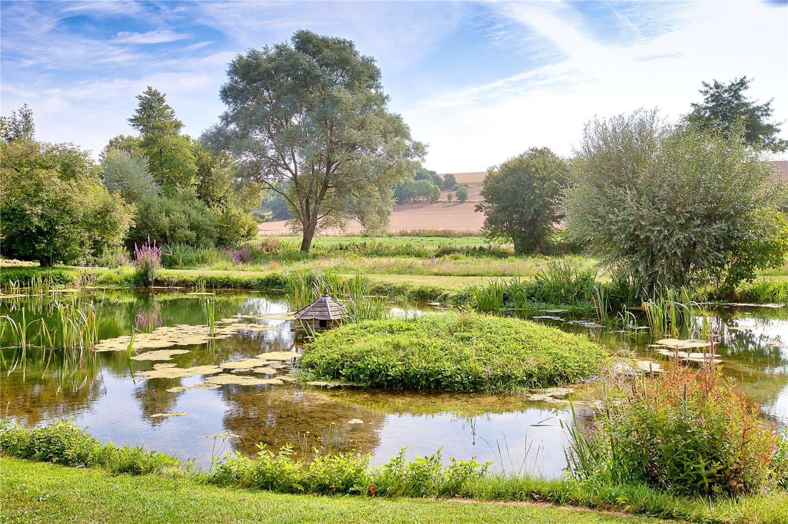 TSB240035_14.jpg TSB240035_14.jpg