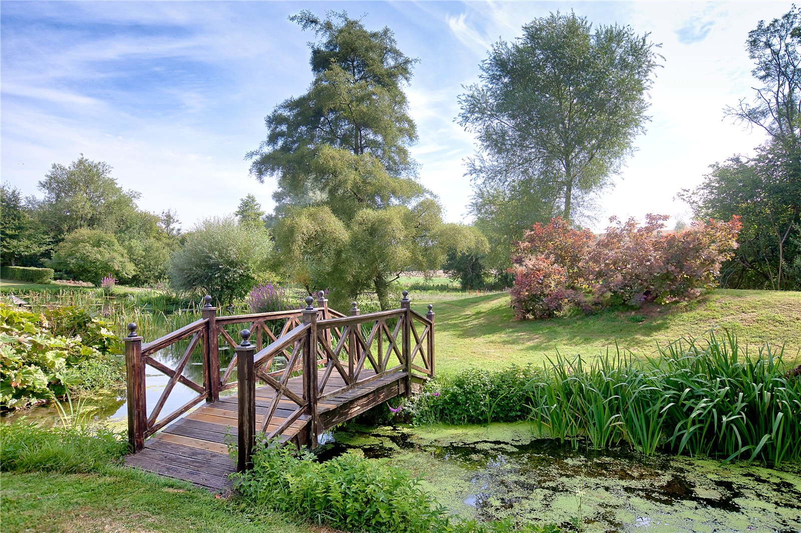 TSB240035_15.jpg TSB240035_15.jpg