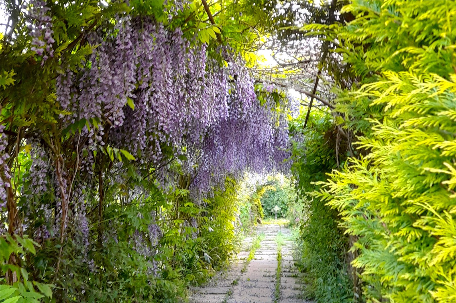 TSB240084_19.jpg TSB240084_19.jpg