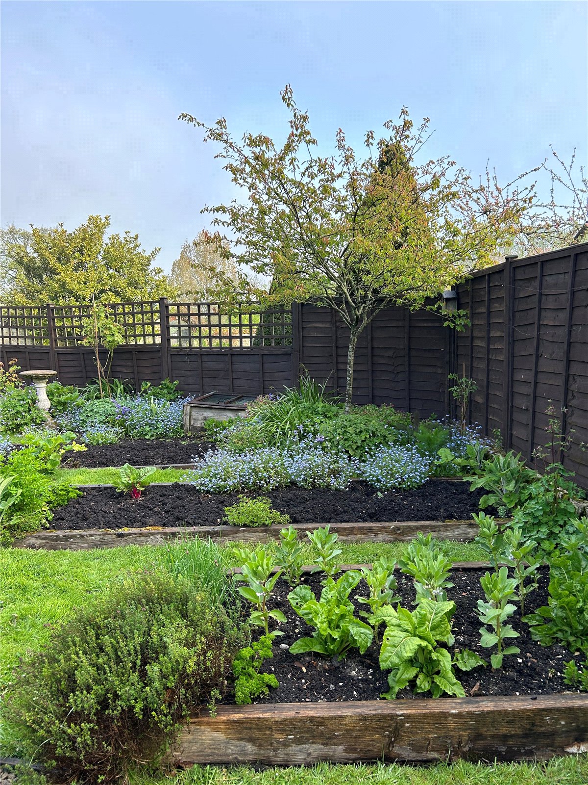 TSB240109_13.jpg TSB240109_13.jpg