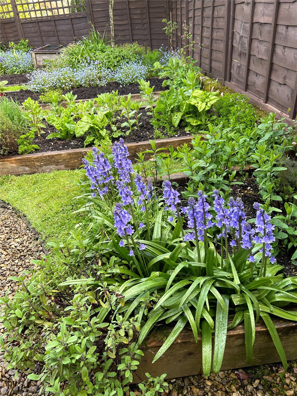 TSB240109_21.jpg TSB240109_21.jpg