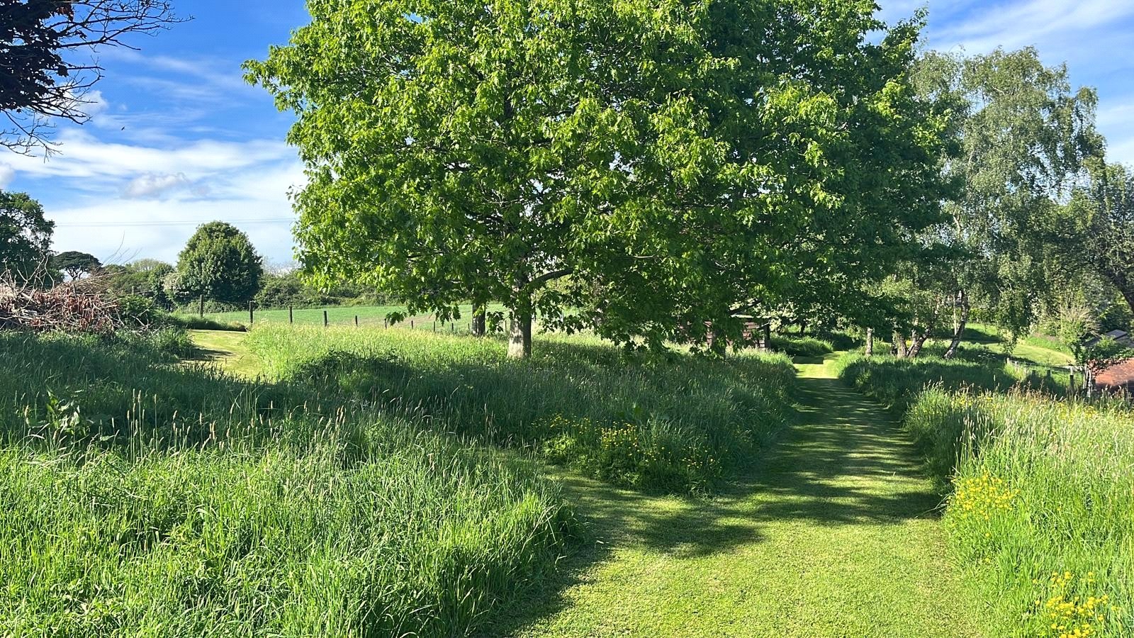 Picture No. 21 Picture No. 21