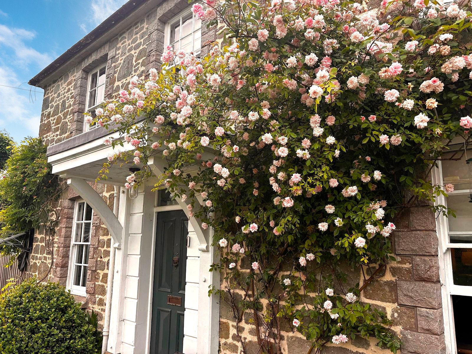 Picture No. 26 Picture No. 26