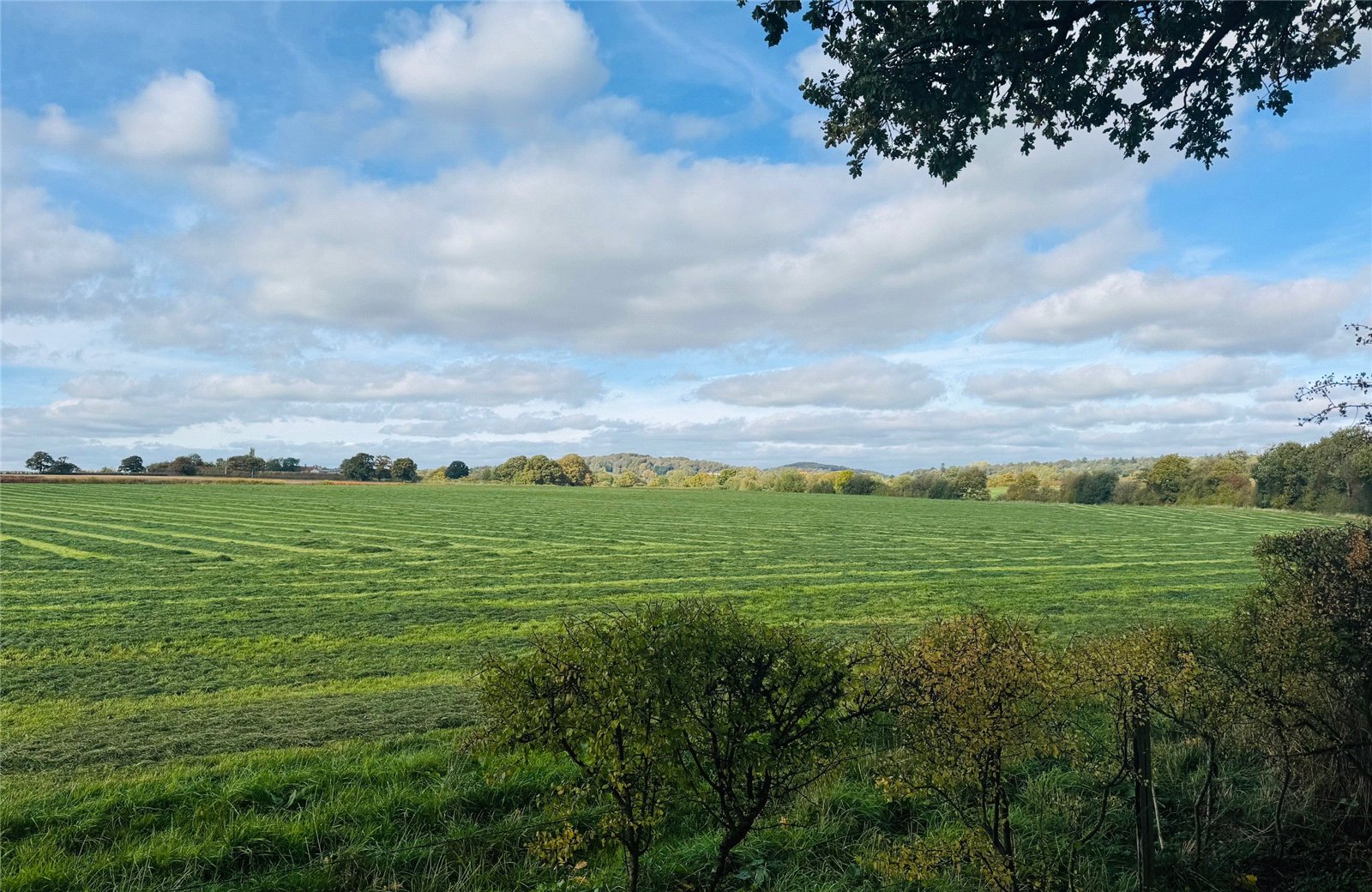 Picture No. 04 Picture No. 04