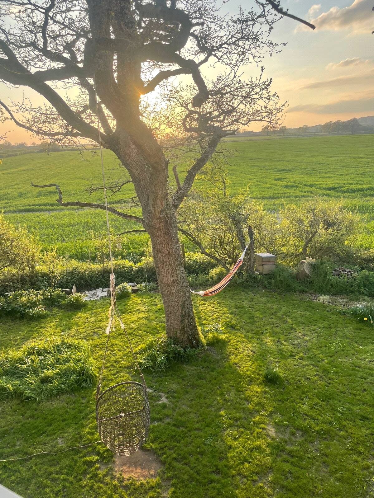 Picture No. 06 Picture No. 06