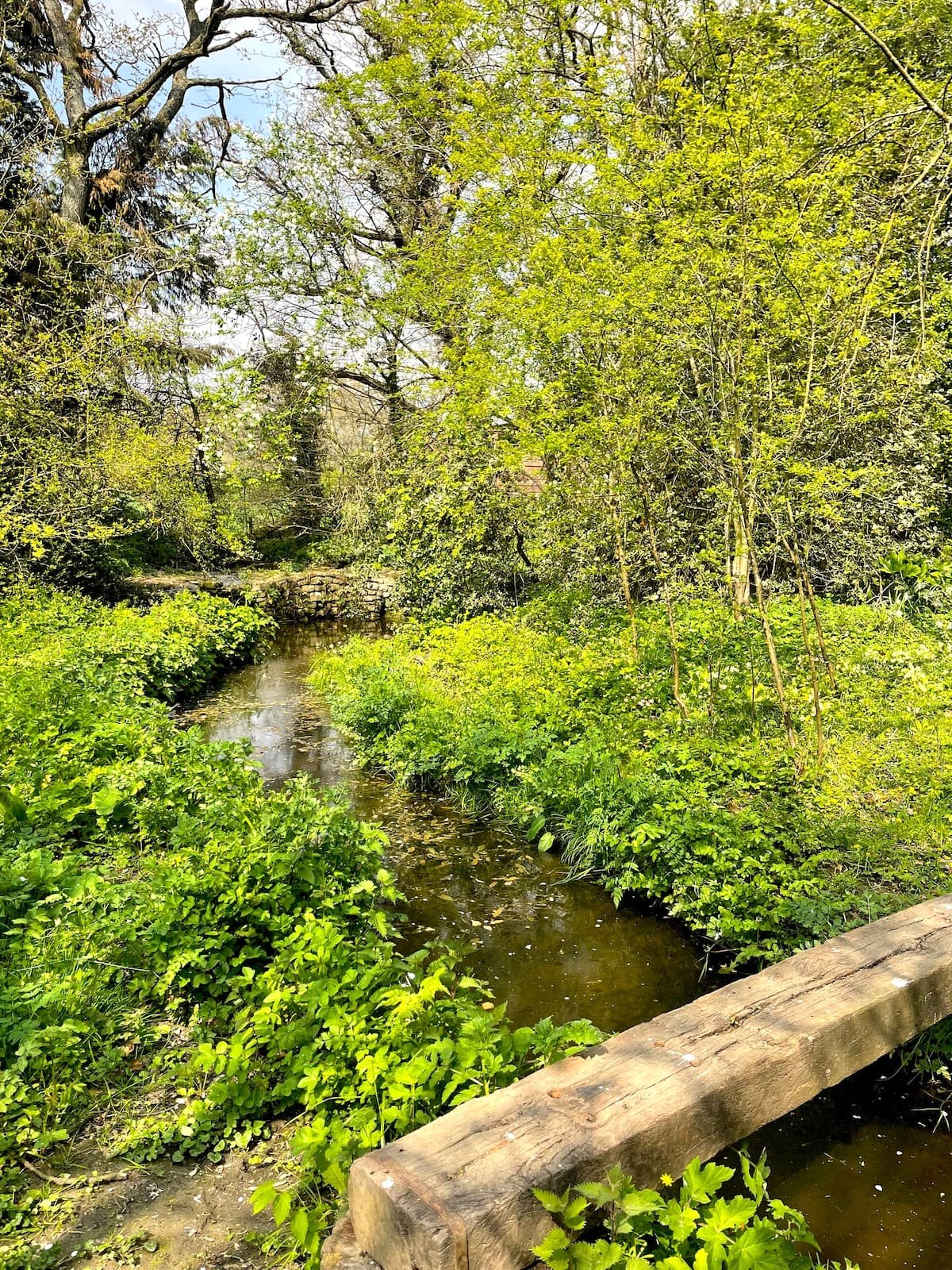 Picture No. 08 Picture No. 08