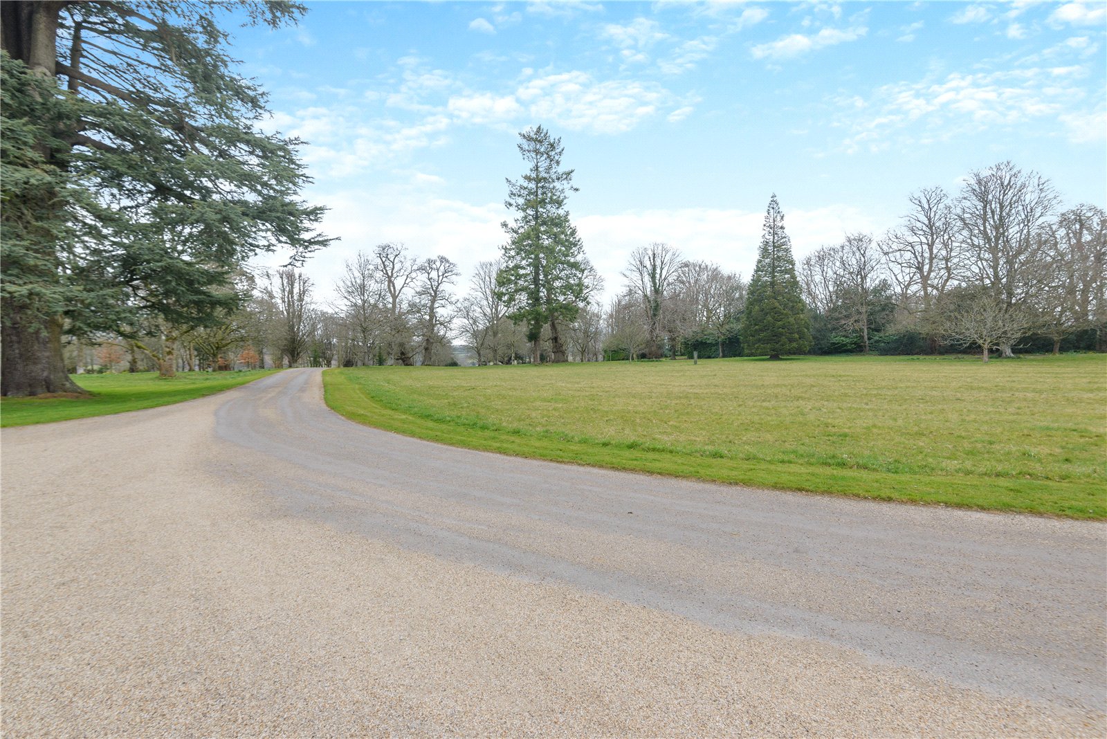 Picture No. 04 Picture No. 04