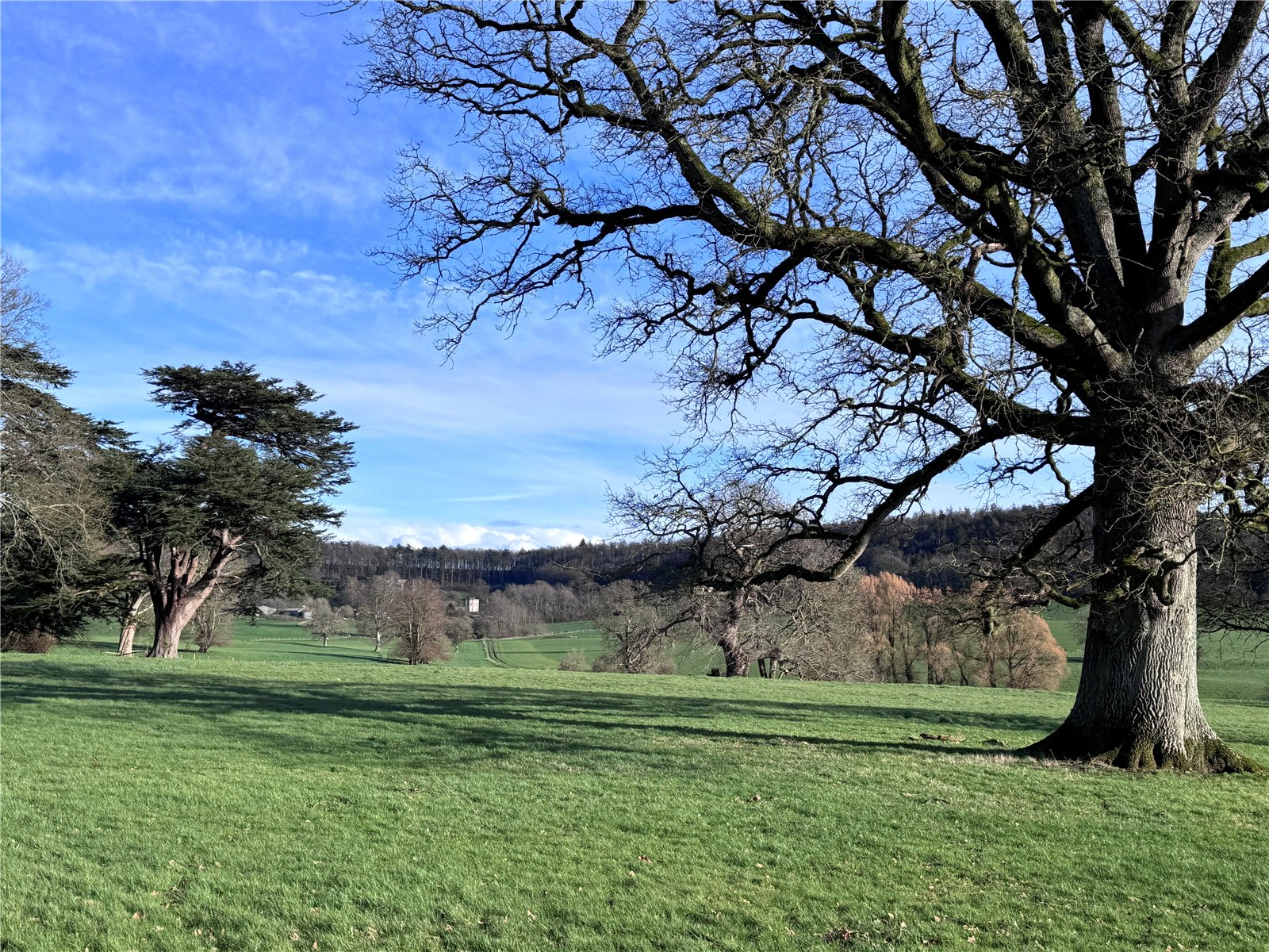 Picture No. 18 Picture No. 18