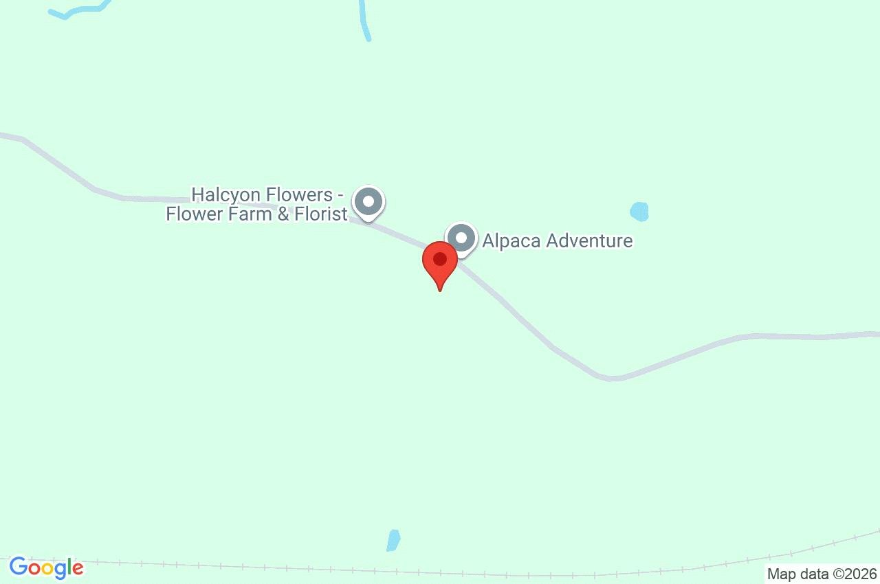 Google Maps Image Google Maps Image