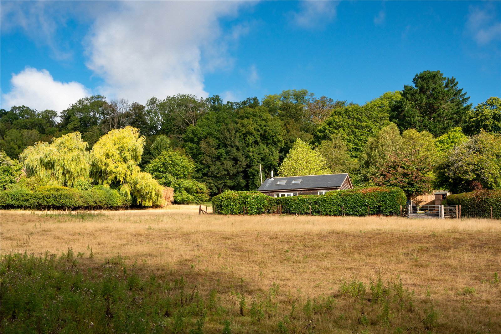 Ridge, Chilmark Ridge, Chilmark