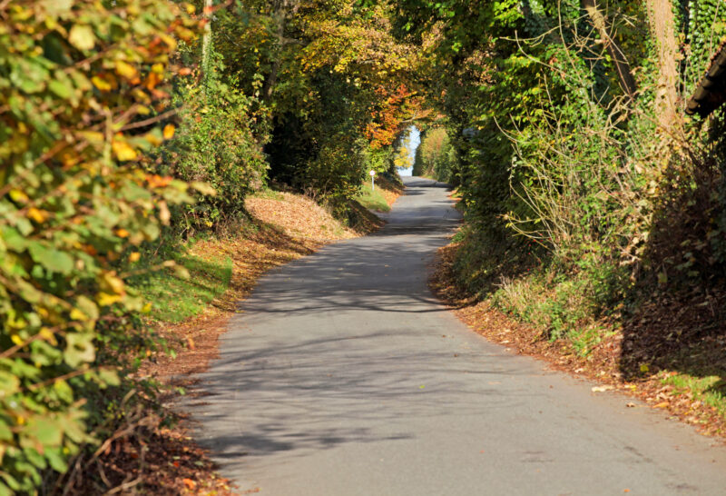 Autumn Winter property market 2016